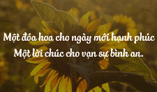 Tool viết lời chúc hay, ý nghĩa cho mọi dịp