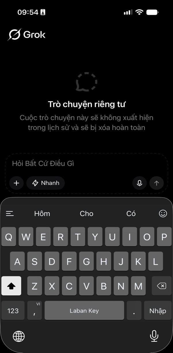 Giao diện chat riêng tư Grok trên điện thoại