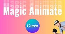 Canva Magic Animate + Reels: Video tỷ lệ 9:16 từ các tài sản thương hiệu tĩnh